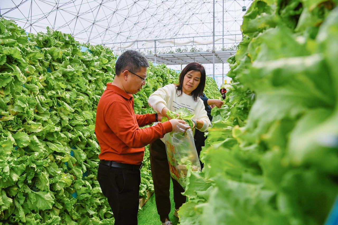 济南少儿培训机构设计效果图 实用性强 多样色彩巧运用