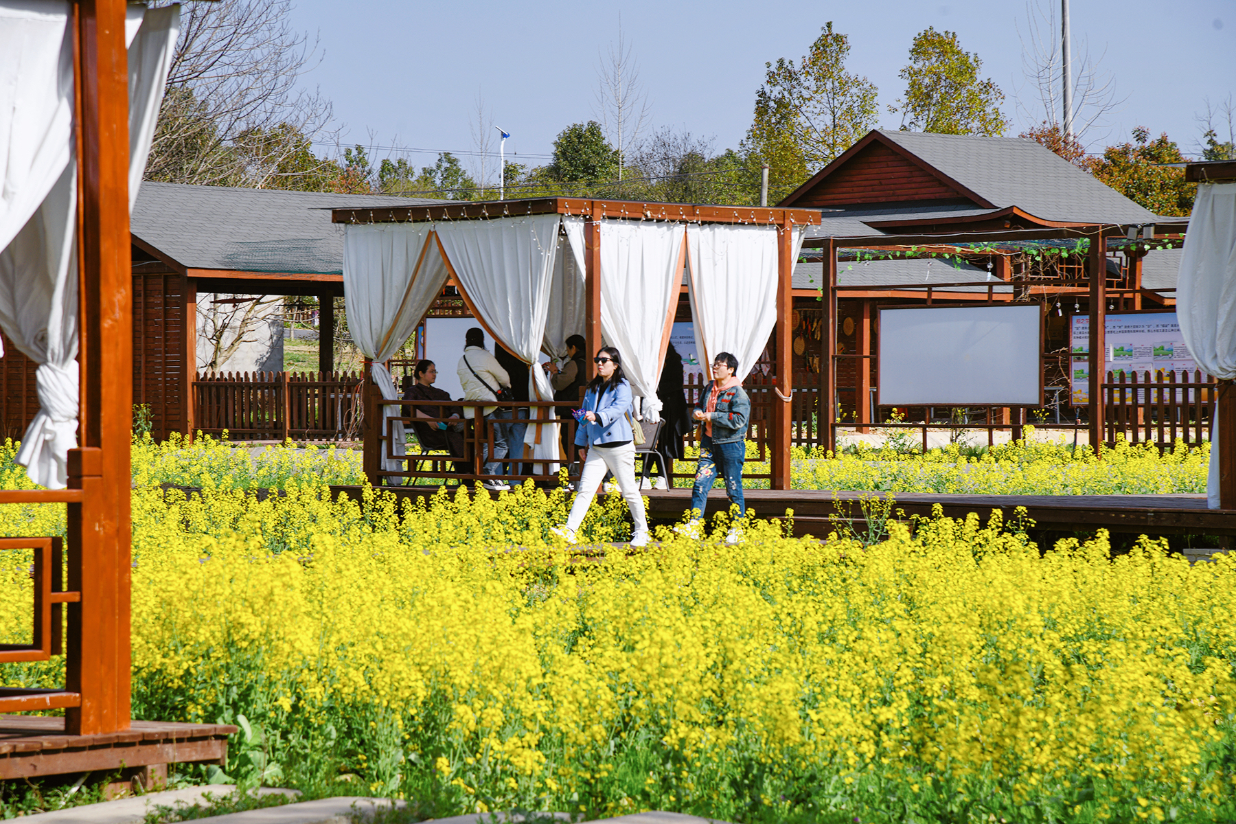 赏花手工市民乐享休闲乡村游
