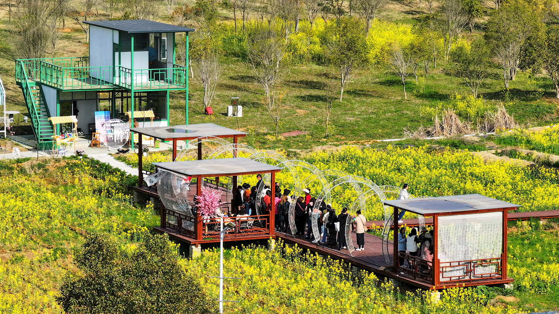 赏花手工市民乐享休闲乡村游