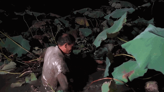 2.1..gif