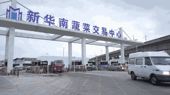 2.6.gif