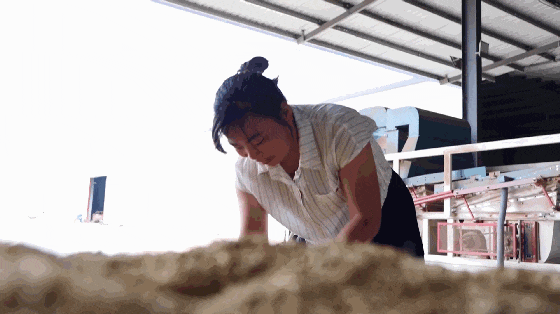 2.14.gif