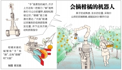 2.2.jpg